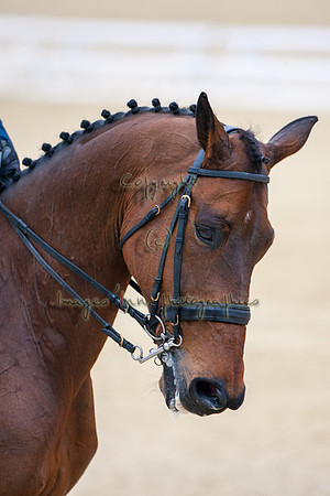20070323_EKL_0005