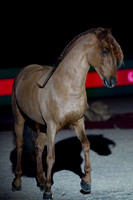 20101203_Y5G_0208