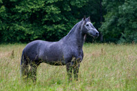 20110531_EKL_0014