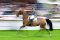 20070701_EKL_0063