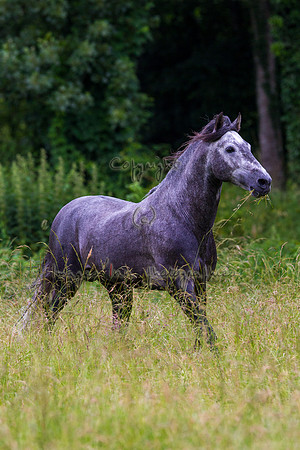 20110531_EKL_0052