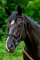 20080607_EKL_0094