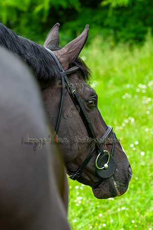 20080607_EKL_0103