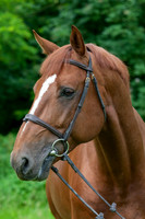 20080607_EKL_0046