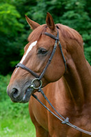 20080607_EKL_0045