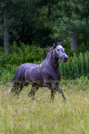 20110531_EKL_0050