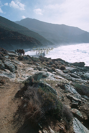 Cap Corse 16 bis