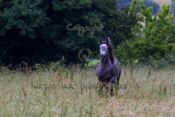 20110531_EKL_0023