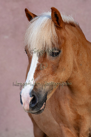 20090624_EKL_0068