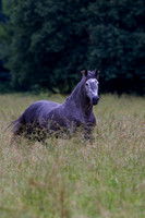 20110531_EKL_0006