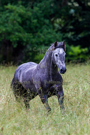 20110531_EKL_0038