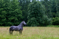 20110531_EKL_0012