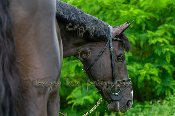 20080607_EKL_0108