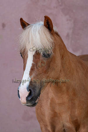 20090624_EKL_0006