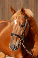 20081025_EKL_0009