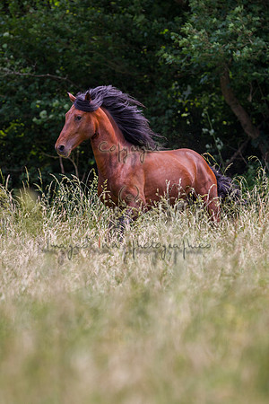 20110531_EKL_0124