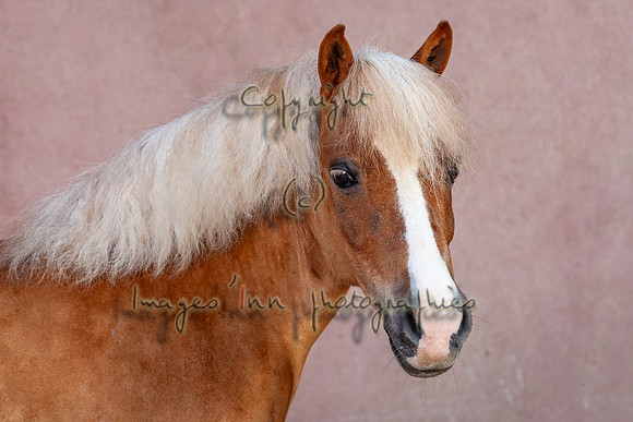 20090624_EKL_0075