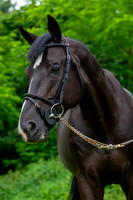 20080607_EKL_0081