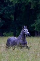 20110531_EKL_0010