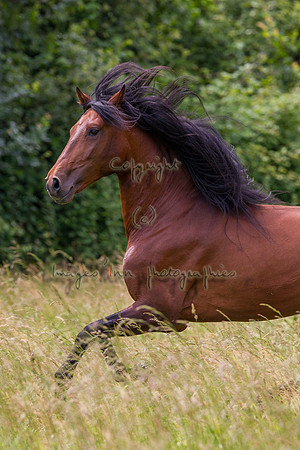 20110531_EKL_0077