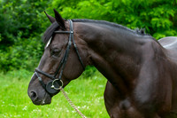 20080607_EKL_0089