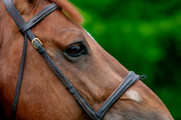 20080607_EKL_0061