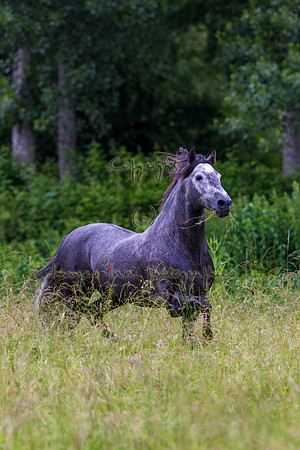 20110531_EKL_0049