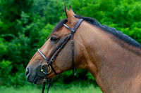 20080607_EKL_0027