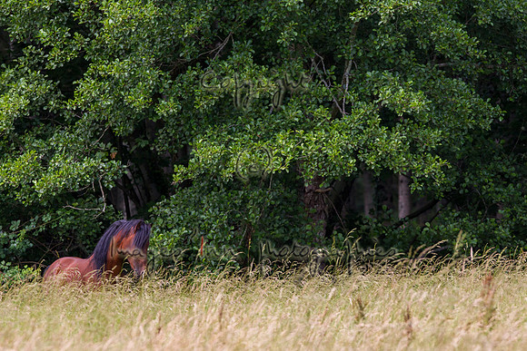 20110531_EKL_0073