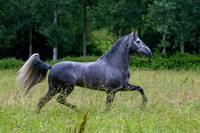 20110531_EKL_0019