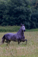 20110531_EKL_0005