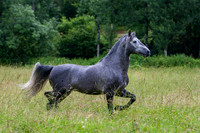 20110531_EKL_0018