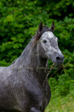 20110531_EKL_0053
