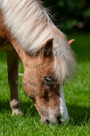 20090502_EKL_0006