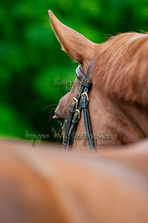 20080607_EKL_0065