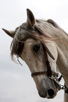 20070601_EKL_0004