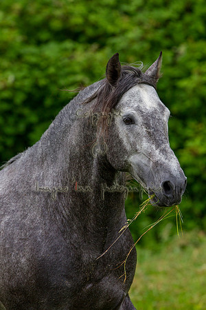 20110531_EKL_0058
