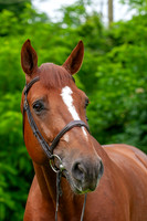 20080607_EKL_0049