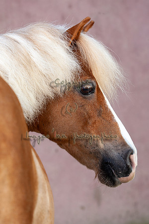 20090624_EKL_0026