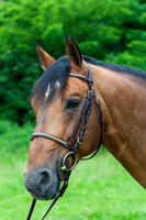 20080607_EKL_0032