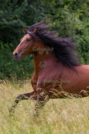 20110531_EKL_0078