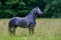 20110531_EKL_0015