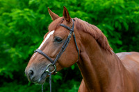 20080607_EKL_0058