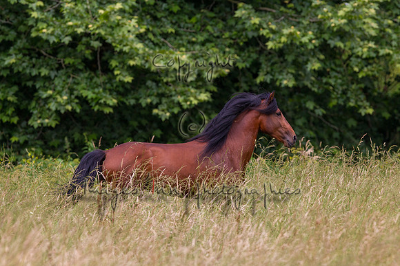 20110531_EKL_0085