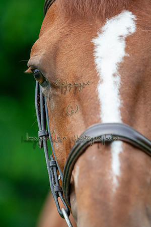 20080607_EKL_0070