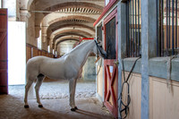 20080729_EKL_0016