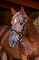 20081025_EKL_0020