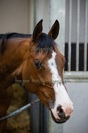 20160523_EKL_0641