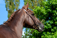 20080716_EKL_0077