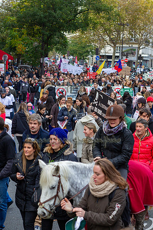 20131111_EKL_0161